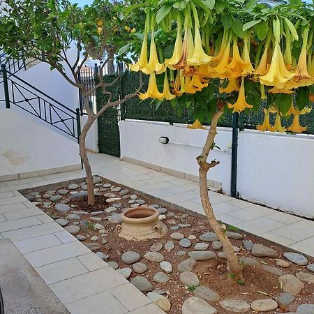 Dimitris Place Near Athens Airport 科洛皮奥 外观 照片