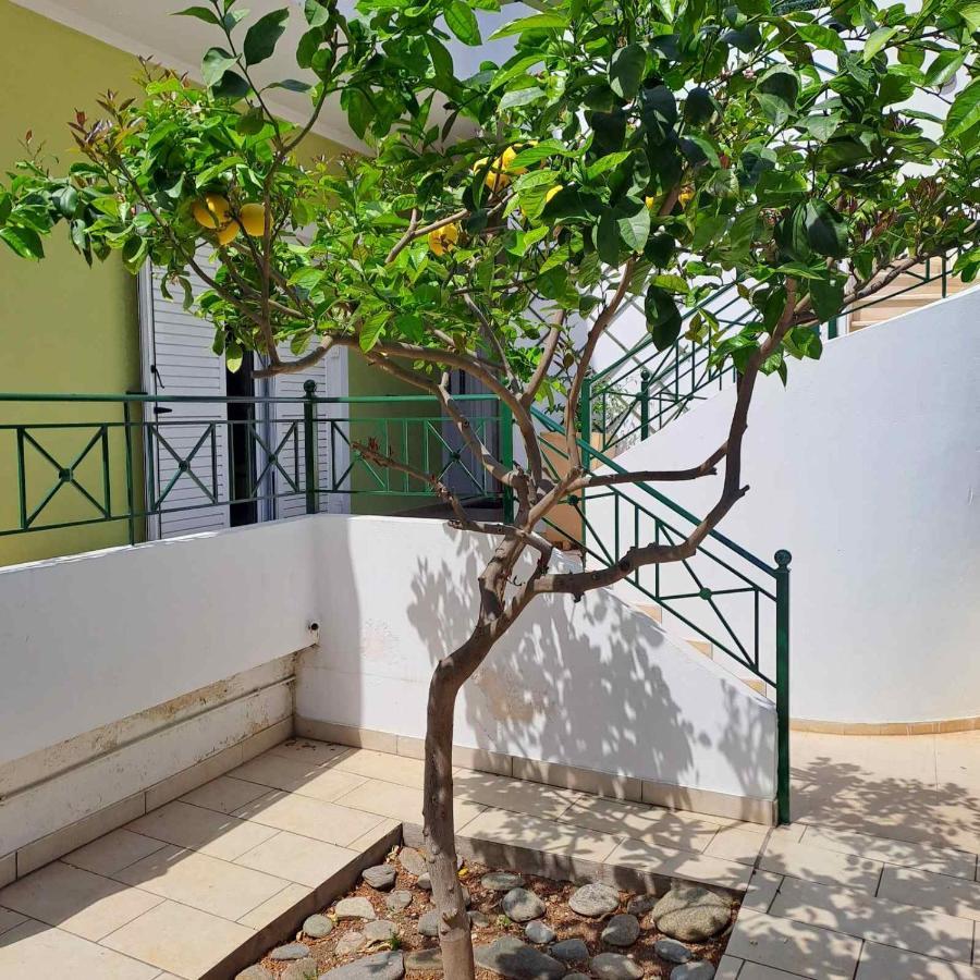 Dimitris Place Near Athens Airport 科洛皮奥 外观 照片
