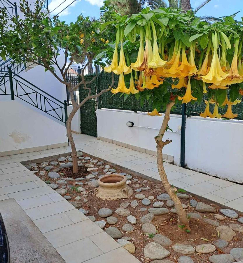 Dimitris Place Near Athens Airport 科洛皮奥 外观 照片